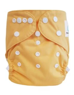 Couche Lavable Tout En Deux TE2 - Sensitive - Mango
