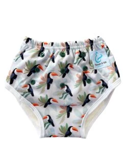 Culotte D'apprentissage à La Propreté Taille évolutive Bambou - Alban Le Toucan