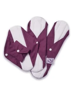 Essenti'elle - Lot De 4 Serviettes Hygiéniques Lavables En Coton - Sensitive