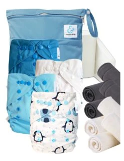 Start And Go TE2 Bambou - Augustin Le Pingouin