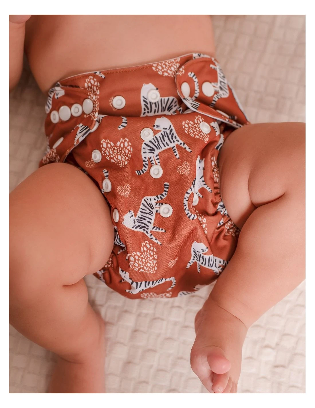 Start And Go TE2 Bambou - Kit 4 Couches Lavables TE2 - Titou 2 Start And Go TE2 Bambou - Kit 4 Couches Lavables TE2 - Titou – Image 2