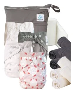 Start And Go TE2 Bambou - Turtle